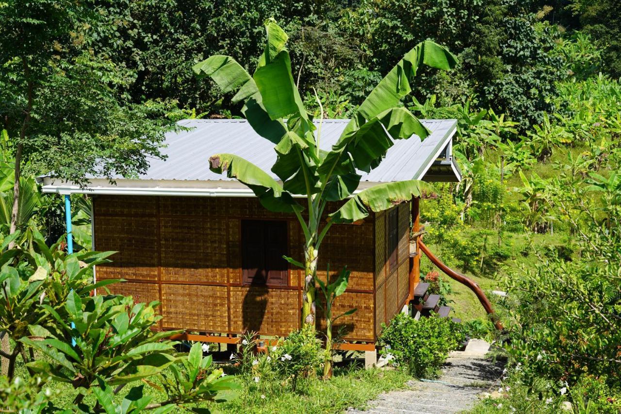 True Nature Chiang Mai - Yoga & Meditation Homestay Retreat Екстериор снимка