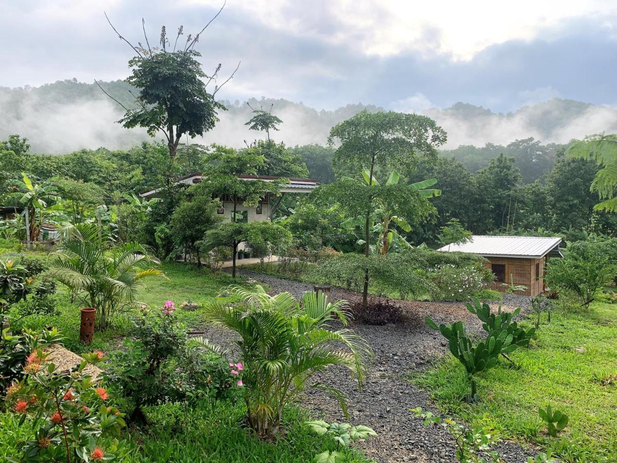 True Nature Chiang Mai - Yoga & Meditation Homestay Retreat Екстериор снимка