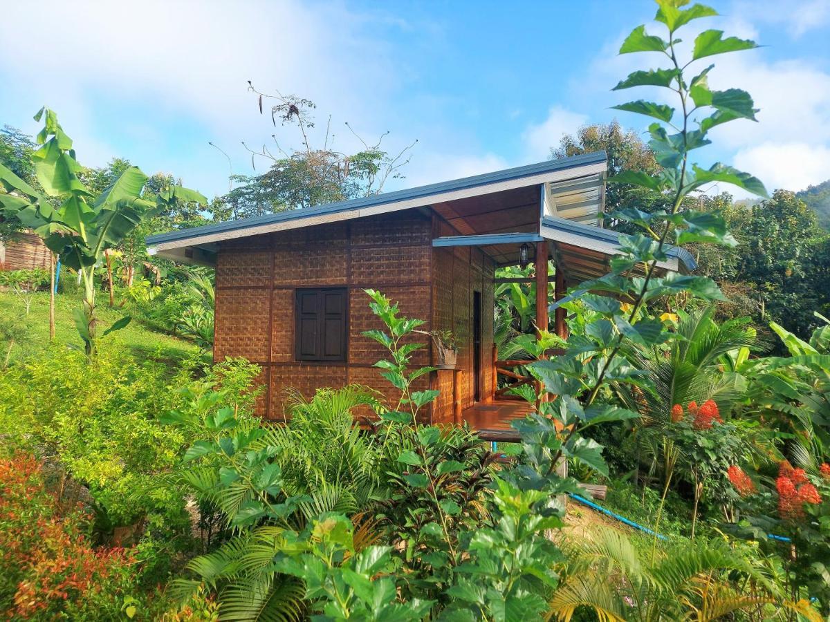 True Nature Chiang Mai - Yoga & Meditation Homestay Retreat Екстериор снимка