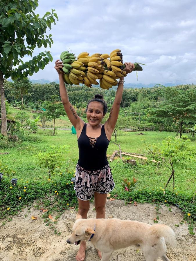 True Nature Chiang Mai - Yoga & Meditation Homestay Retreat Екстериор снимка