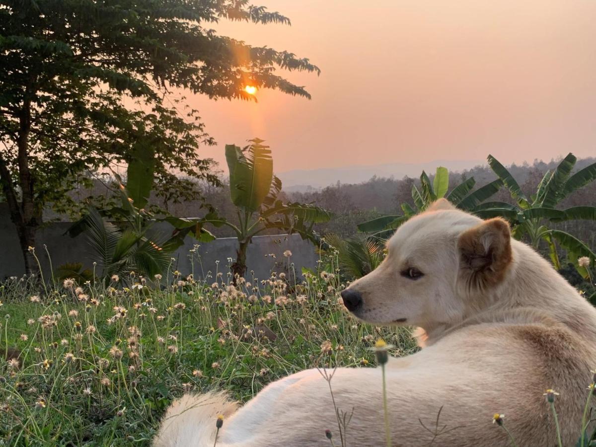 True Nature Chiang Mai - Yoga & Meditation Homestay Retreat Екстериор снимка